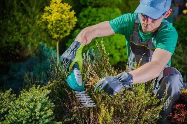 landscaping services Wickliffe